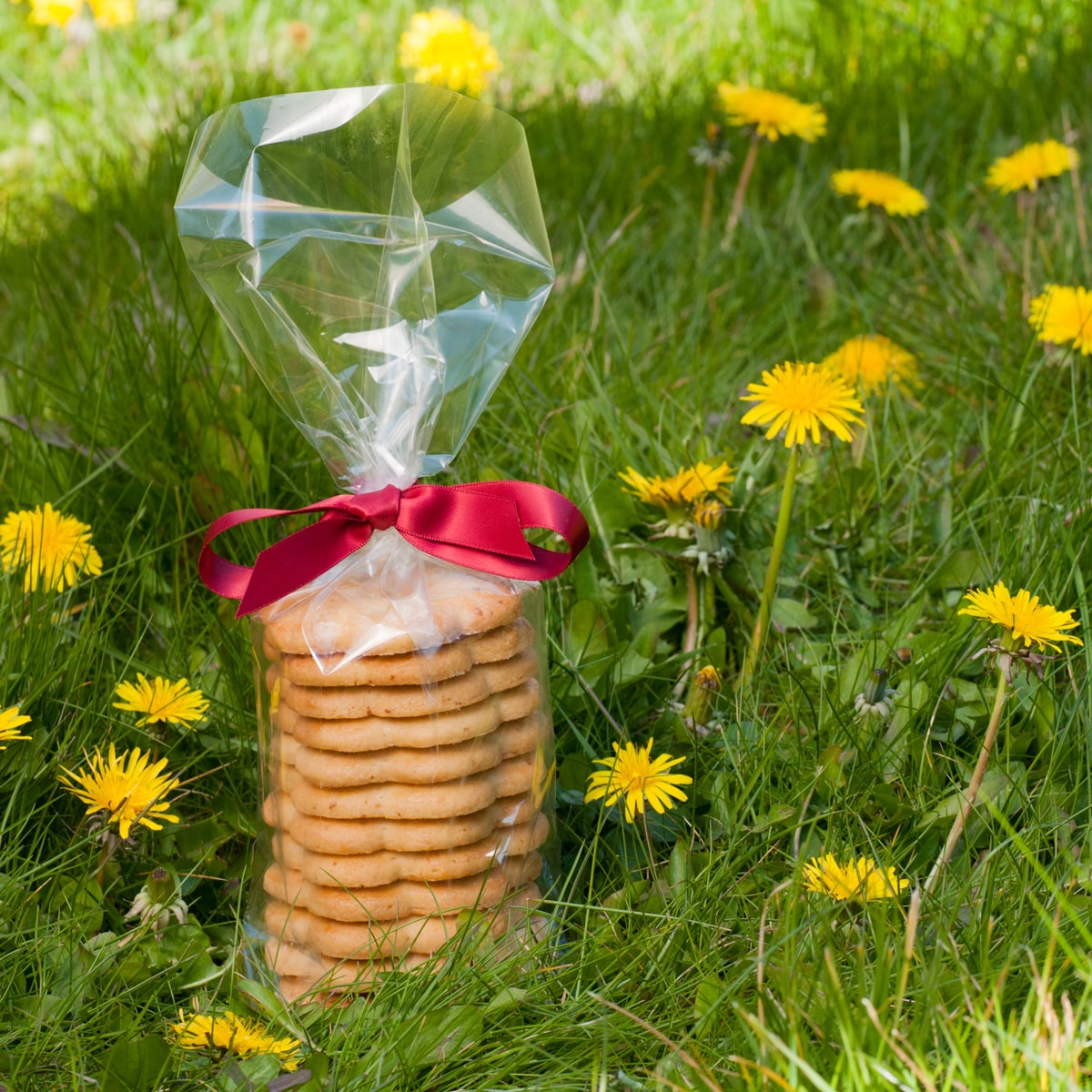 Traditional Greek butter & egg biscuits (Avgokouloura)